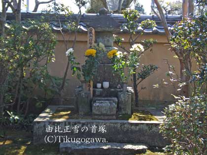 �R�䐳��̎��