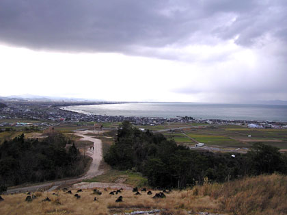 ���݂̋|���l����